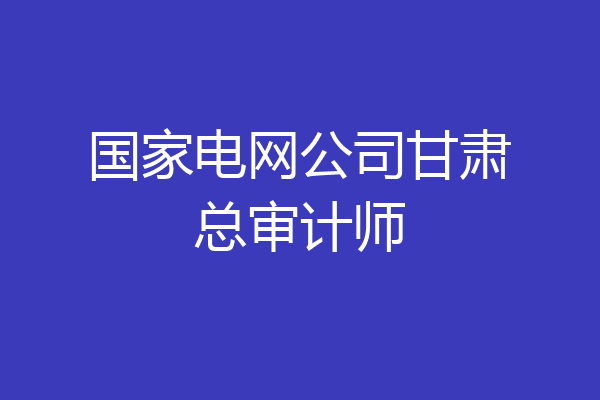 国家电网公司甘肃总审计师