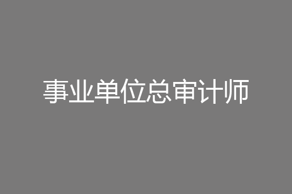 事业单位总审计师