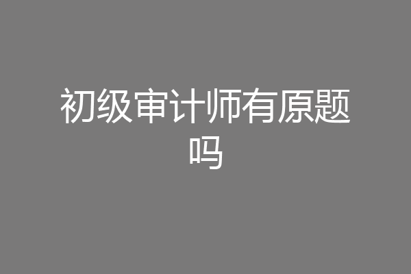 初级审计师有原题吗