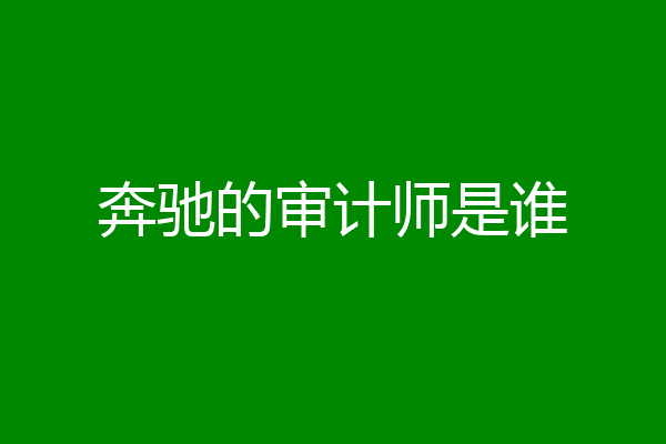 奔驰的审计师是谁