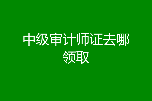 中级审计师证去哪领取