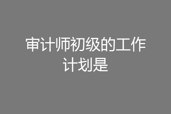 审计师初级的工作计划是