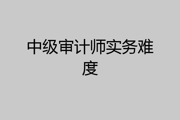 中级审计师实务难度