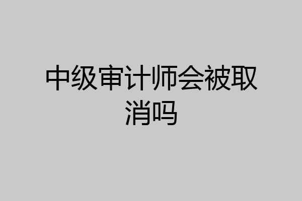 中级审计师会被取消吗