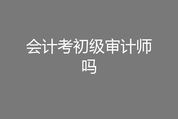 会计考初级审计师吗