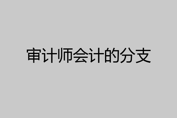 审计师会计的分支