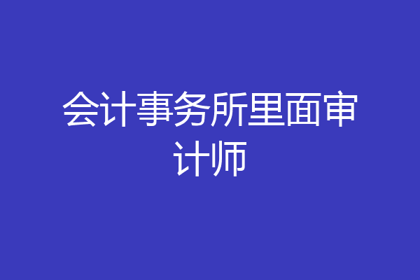 会计事务所里面审计师