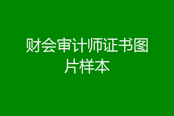 财会审计师证书图片样本