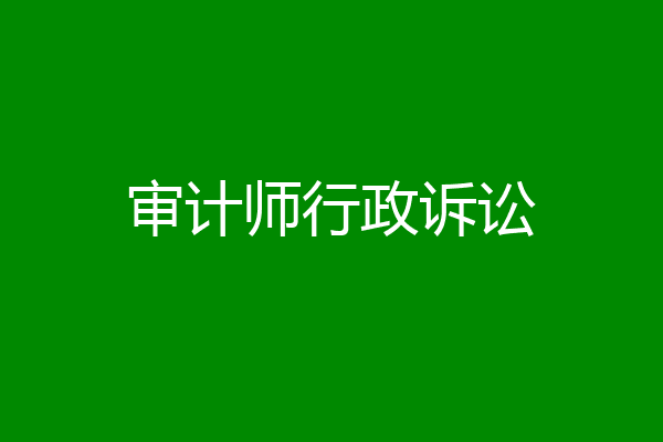 审计师行政诉讼