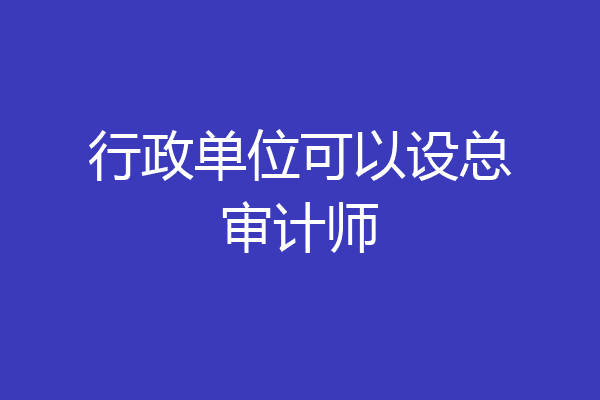 行政单位可以设总审计师