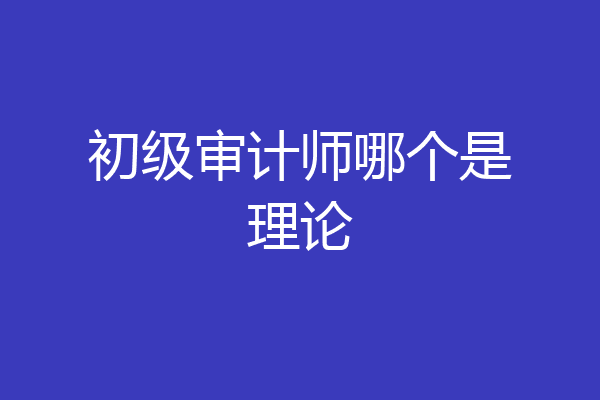 初级审计师哪个是理论