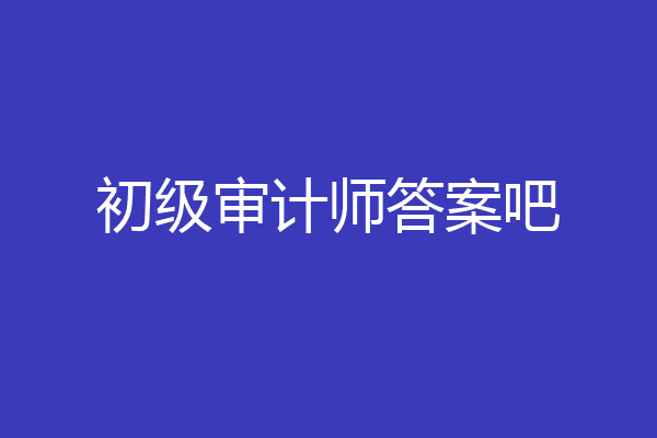 初级审计师答案吧