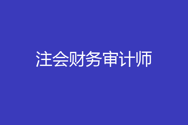 注会财务审计师