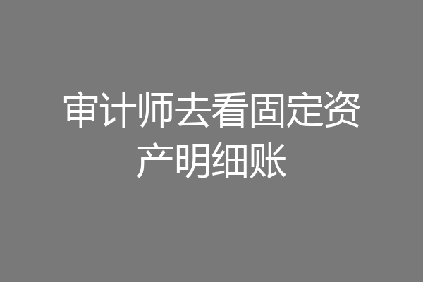 审计师去看固定资产明细账