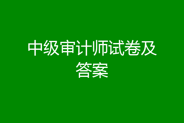 中级审计师试卷及答案