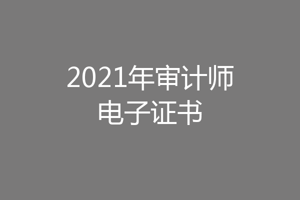 2021年审计师电子证书