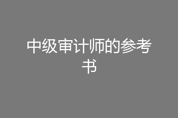 中级审计师的参考书