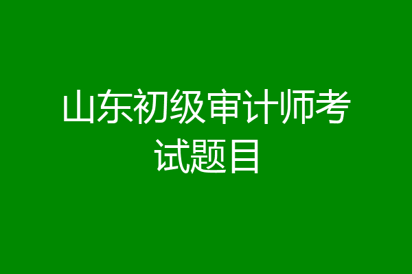 山东初级审计师考试题目