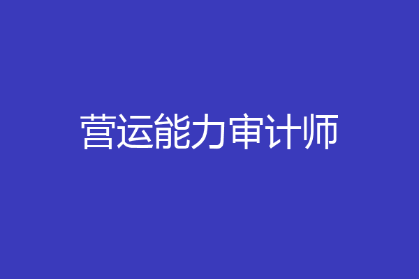 营运能力审计师