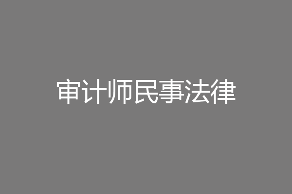 审计师民事法律