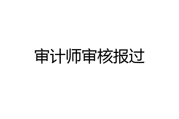 审计师审核报过