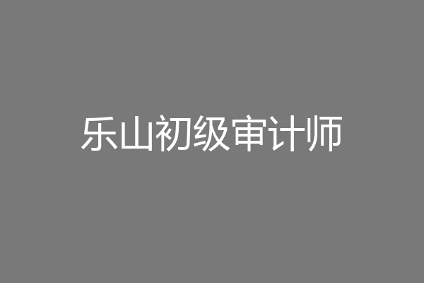 乐山初级审计师