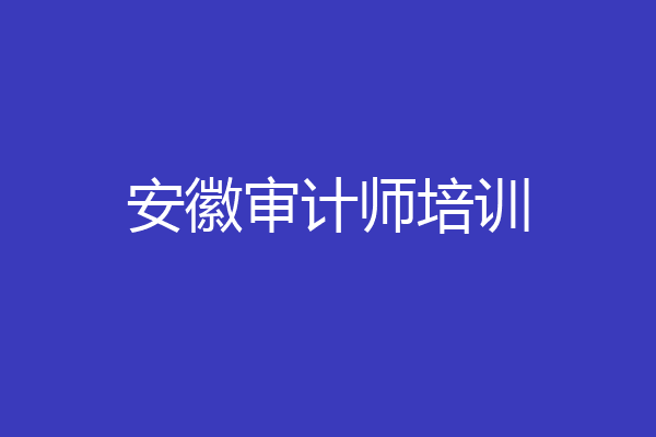 安徽审计师培训