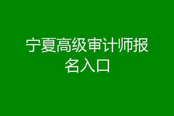 宁夏高级审计师报名入口