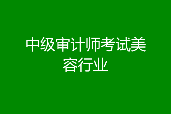 中级审计师考试美容行业
