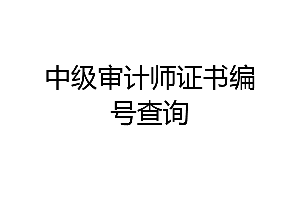 中级审计师证书编号查询