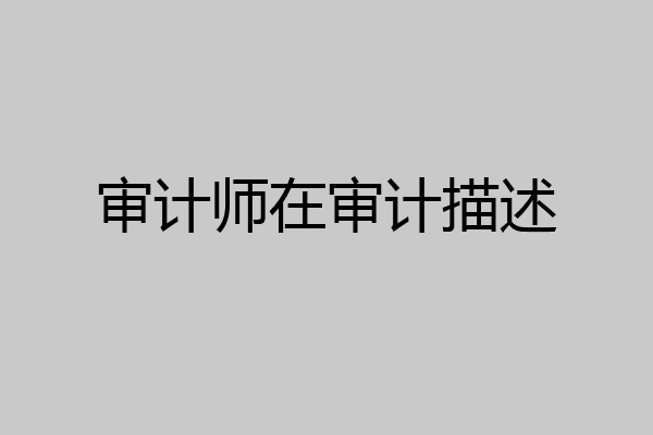 审计师在审计描述