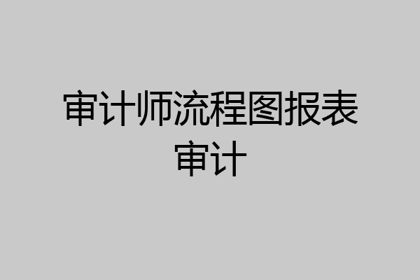 审计师流程图报表审计