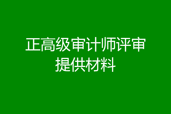 正高级审计师评审提供材料