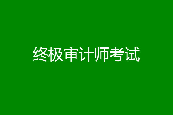终极审计师考试