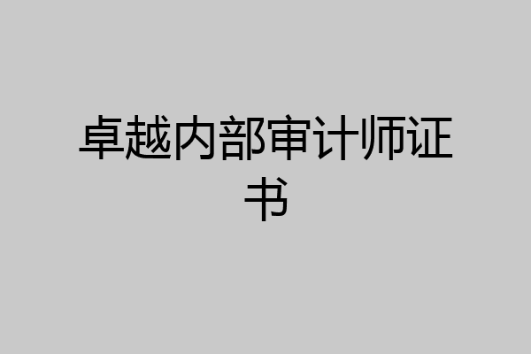 卓越内部审计师证书