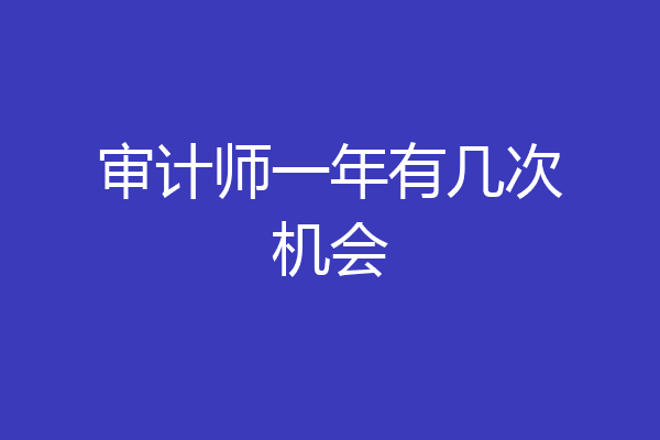 审计师一年有几次机会