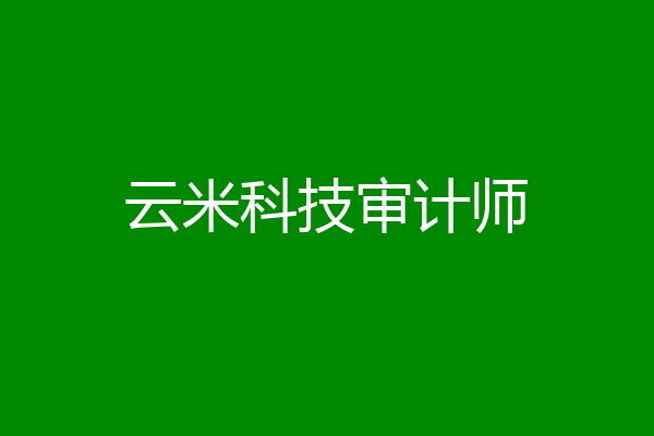 云米科技审计师