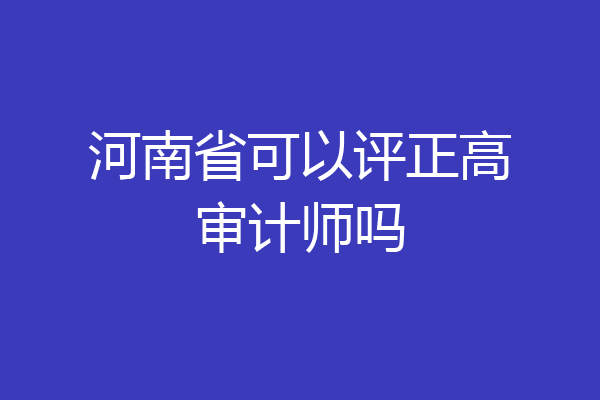 河南省可以评正高审计师吗