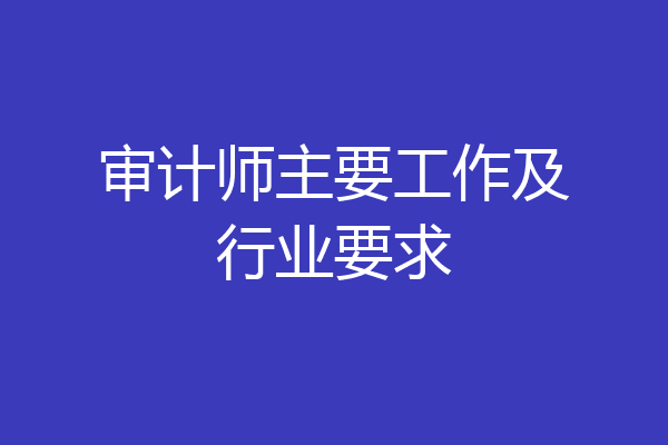 审计师主要工作及行业要求