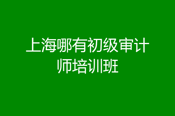 上海哪有初级审计师培训班