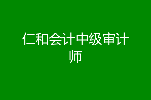 仁和会计中级审计师