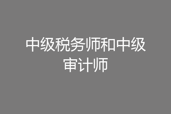 中级税务师和中级审计师