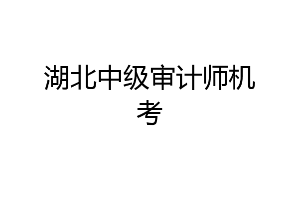 湖北中级审计师机考