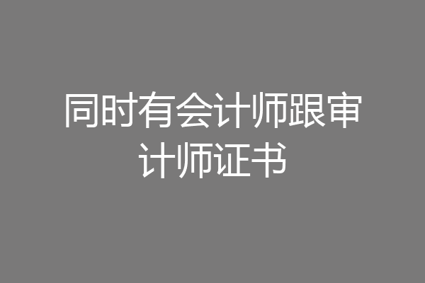 同时有会计师跟审计师证书