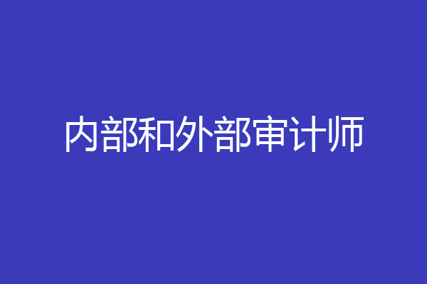内部和外部审计师
