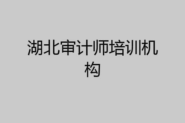 湖北审计师培训机构