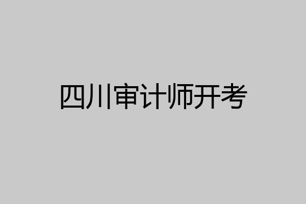 四川审计师开考