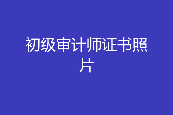 初级审计师证书照片