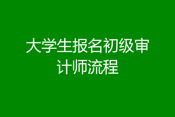大学生报名初级审计师流程