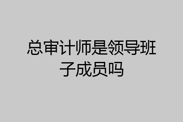 总审计师是领导班子成员吗
